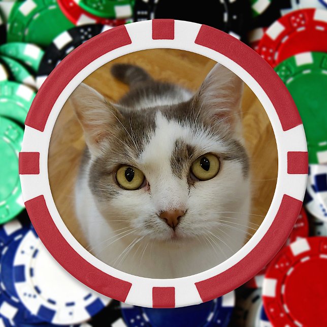 Lot De Jeton De Poker Photo personnalisée (Créateur téléchargé)