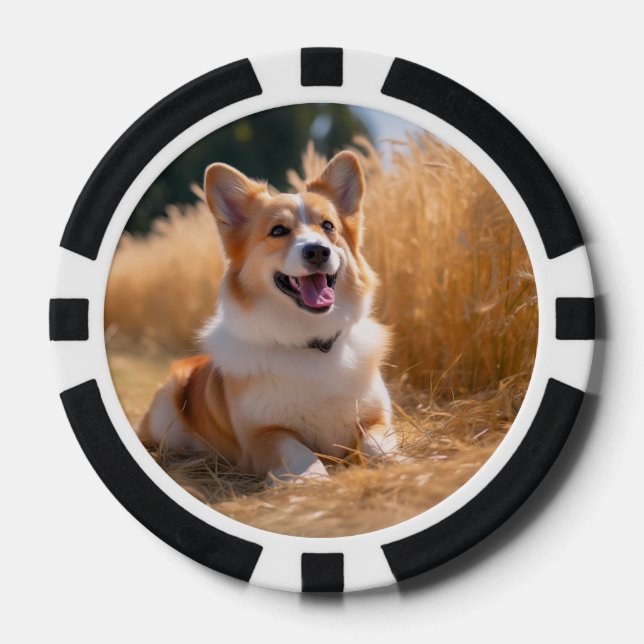 Lot De Jeton De Poker Photo personnalisée pour animaux (Recto)