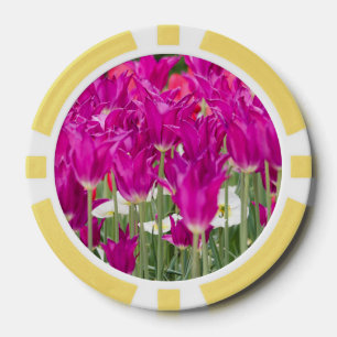 Lot De Jeton De Poker Positions Pink Violet Lumineux