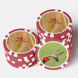 Lot De Jeton De Poker Puces de poker avec libellule et photo de colibri