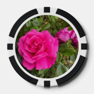 Lot De Jeton De Poker Rose Rose #6