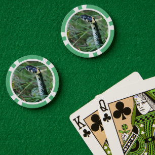 Lot De Jeton De Poker Tête de serpent