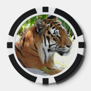 Lot De Jeton De Poker Tigers mignons