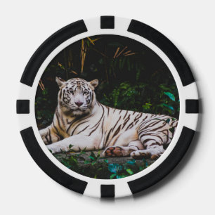 Lot De Jeton De Poker Tigre