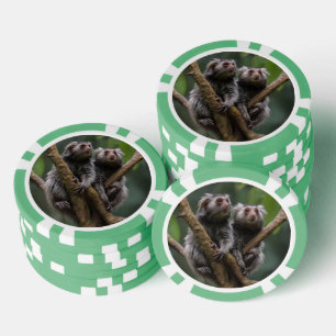 Lot De Jeton De Poker Tiny Marmoset Titans Parmi les Branches,