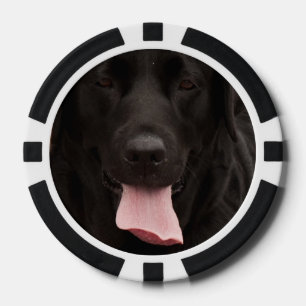 Lot De Jeton De Poker Visage de chien noir