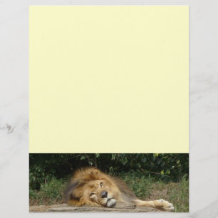 Lötkopfpapier