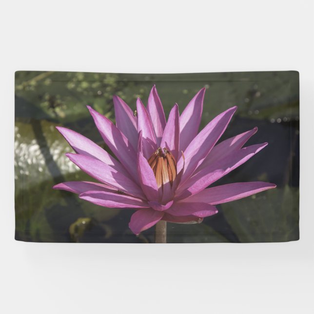 Lotos-Blume Banner (Horizontal)