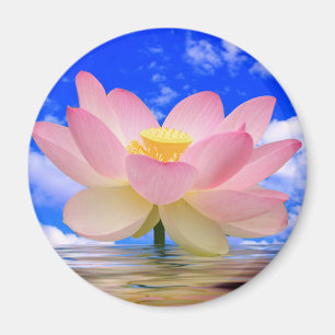 Lotos-Blume geboren im Wasser Magnet
