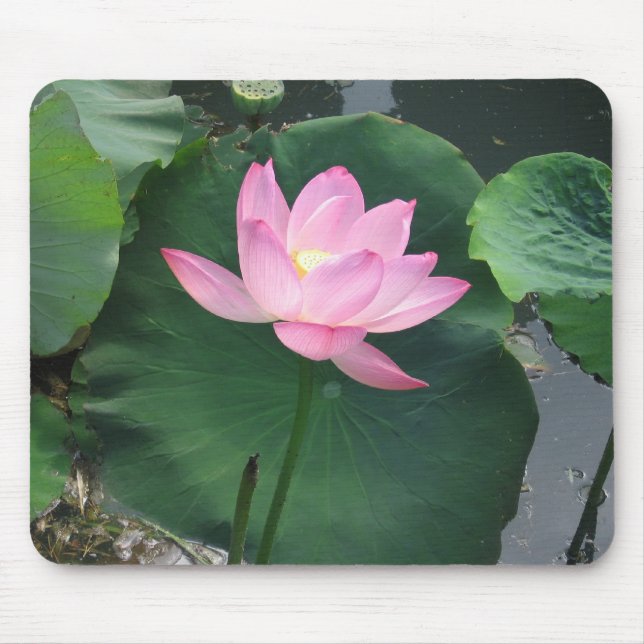 Lotos-Blume Mousepad (Vorne)