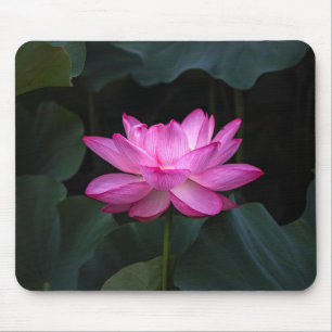 Lotos-Blume Mousepad