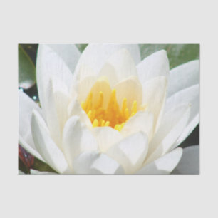 Lotos-Blume Seidenpapier
