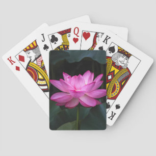 Lotos-Blume Spielkarten