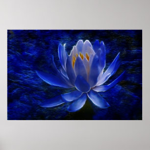 Lotos-Blume und seine Bedeutung Poster
