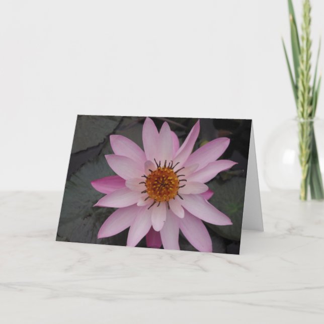Lotos-Blumen-Anmerkungs-Karte Karte (Vorderseite)