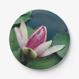 Lotos-Blumen-Rosa-Blüten-kundenspezifischer Pappteller