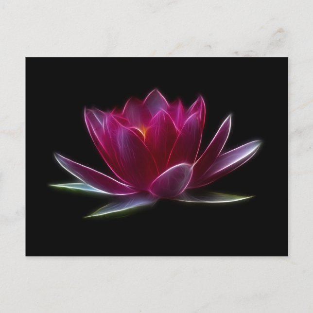 Lotos-Blumen-Wasser-Pflanze Postkarte (Vorderseite)