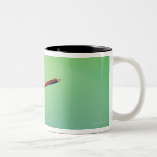 Lotos-Blumenknospe und eine Libelle Zweifarbige Tasse