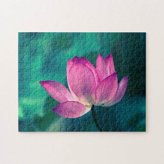 Lotos-Wasser-Lilien-Blume (Horizontal)