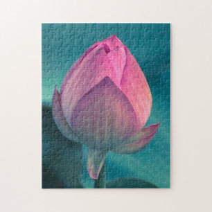 Lotos-Wasser-Lilien-Blume