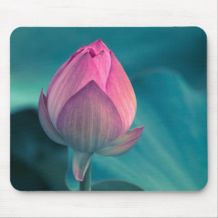 Lotos-Wasser-Lilien-Blume Mousepad
