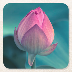 Lotos-Wasser-Lilien-Blume Rechteckiger Pappuntersetzer