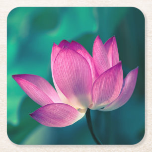Lotos-Wasser-Lilien-Blume Rechteckiger Pappuntersetzer