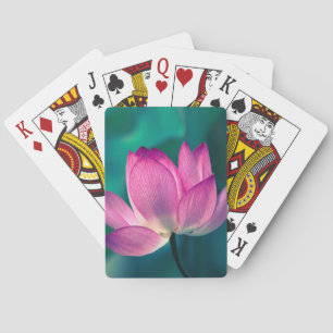 Lotos-Wasser-Lilien-Blume Spielkarten