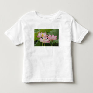 Lotosblume, Nelumbo nucifera, China 2 Kleinkind T-shirt