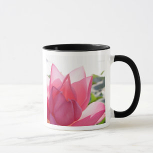 Lotosblume [Nelumbo speciosum] in voller Blüte Tasse