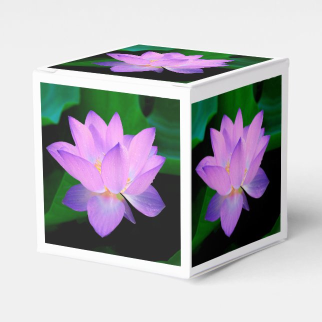 Lotosblüte Geschenkschachtel (Vorderseite)