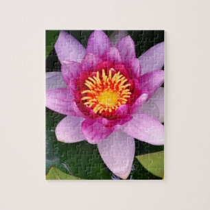 Lotosblüten-Foto-Puzzle