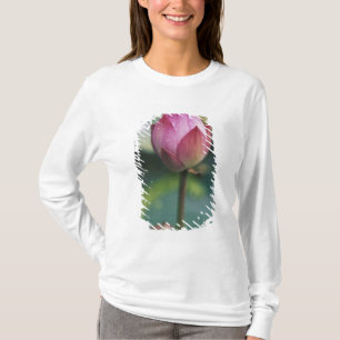 Lotosblütenknospe, Hangzhou, Provinz Zhejiang, T-Shirt