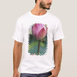 Lotosblütenknospe, Hangzhou, Provinz Zhejiang, T-Shirt