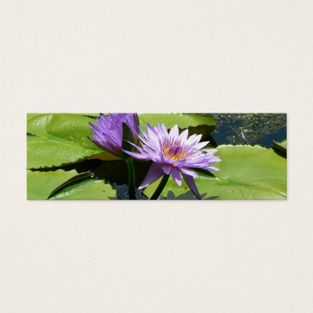 Lotus (Devant)