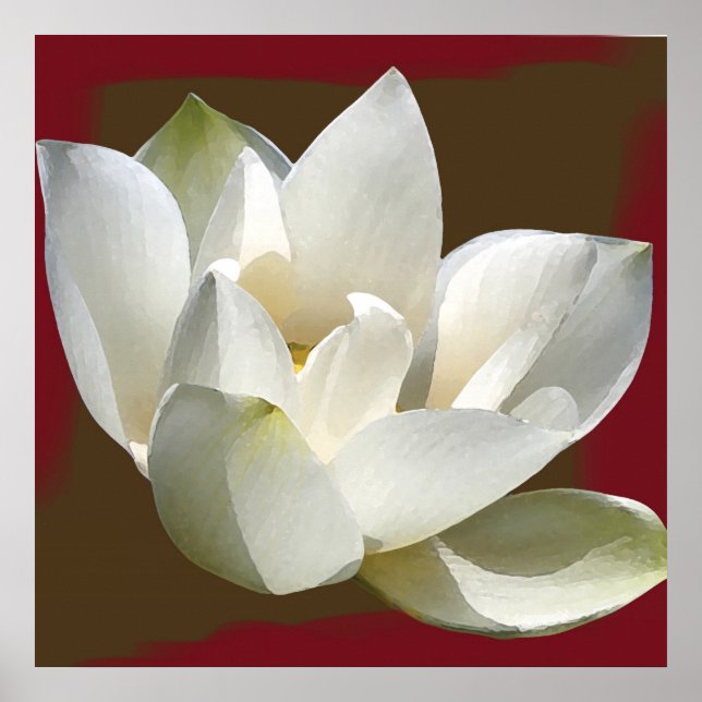 Lotus1 Poster (Vorne)