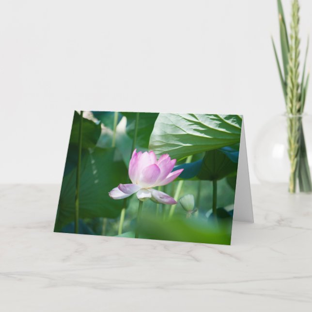 Lotus #2463 karte (Vorderseite)