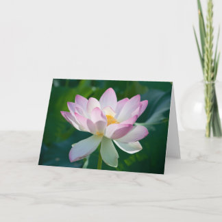Lotus #2521 karte