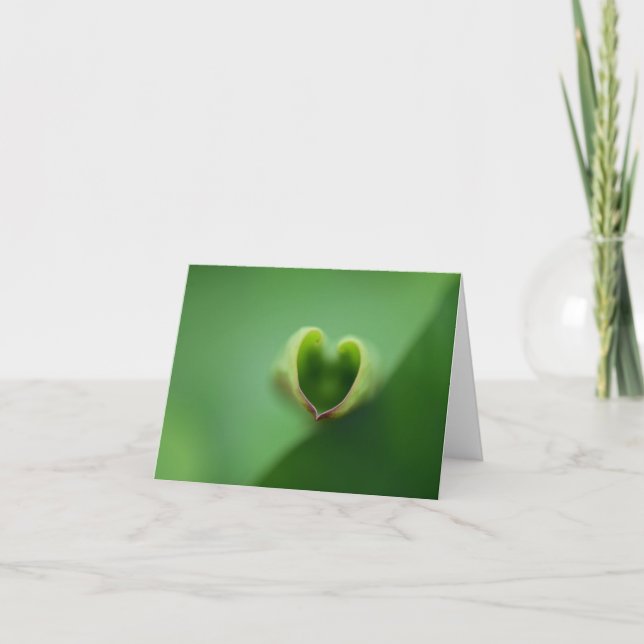 Lotus All Occasion Carte pour notes (Devant)