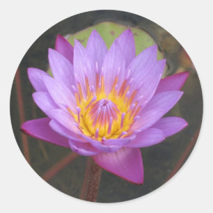 Lotus-Aufkleber Runder Aufkleber