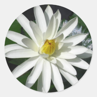 Lotus Blossom Runder Aufkleber
