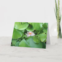 Lotus-Blume - Faltkarte