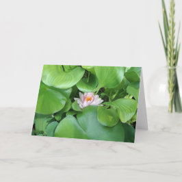 Lotus-Blume - Faltkarte Karte