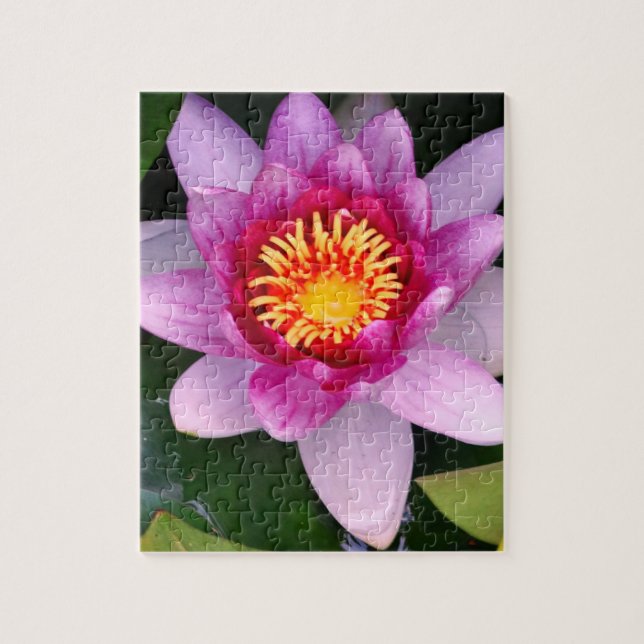 Lotus Blume Foto Jigsaw Puzzle (Vertikal)