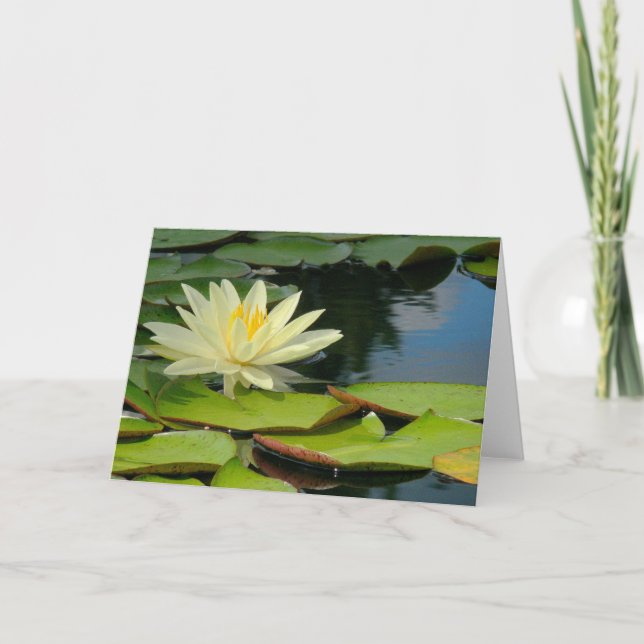 Lotus-Blume (Fotograf) mit Buddha-Zitat innen Karte (Vorderseite)