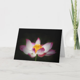 Lotus Blume Fotografie Great Yoga Om Geschenk!L Karte