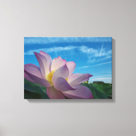 Lotus Blume Leinwanddruck