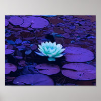 Lotus Blume Lila Blue Türkise Floral Pond Zen