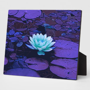 Lotus Blume Magisches Lila Blau Türkis Fotoplatte