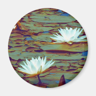 Lotus-Blume Magnet